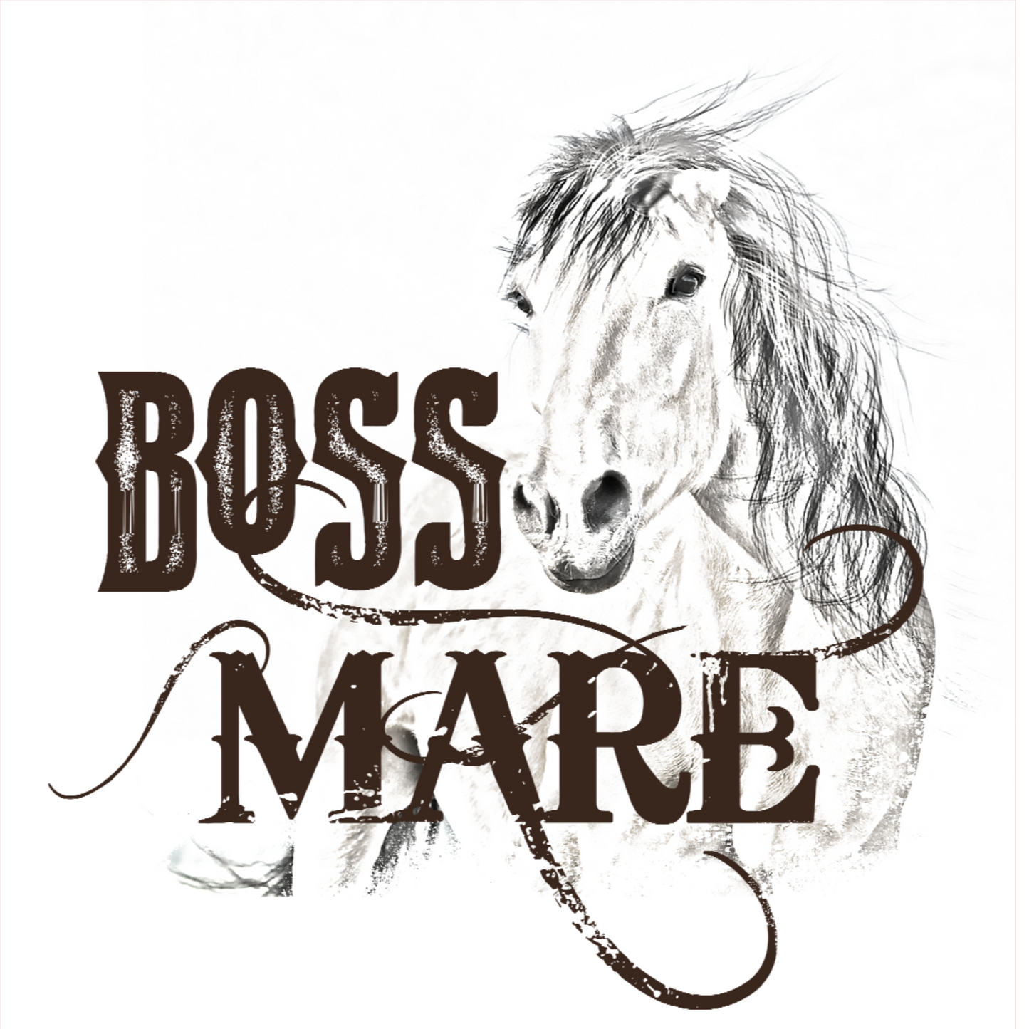 Boss Mare